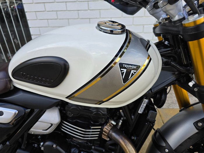 2024 Triumph SCRAMBLER 400 X White