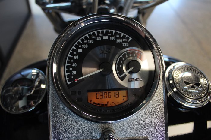 2009 Harley-davidson FXST SOFTAIL STANDARD