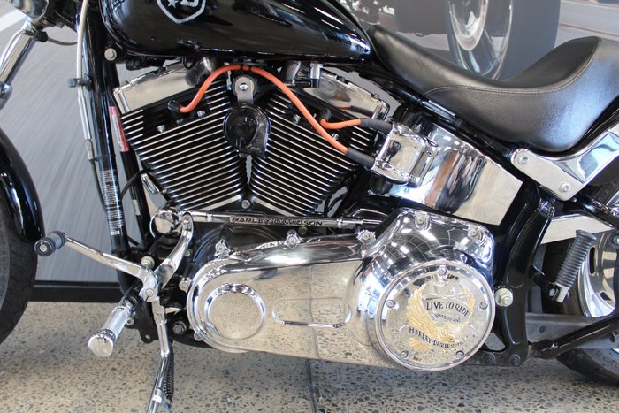 2009 Harley-davidson FXST SOFTAIL STANDARD