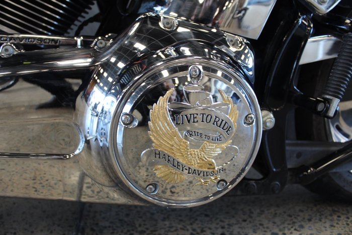 2009 Harley-davidson FXST SOFTAIL STANDARD