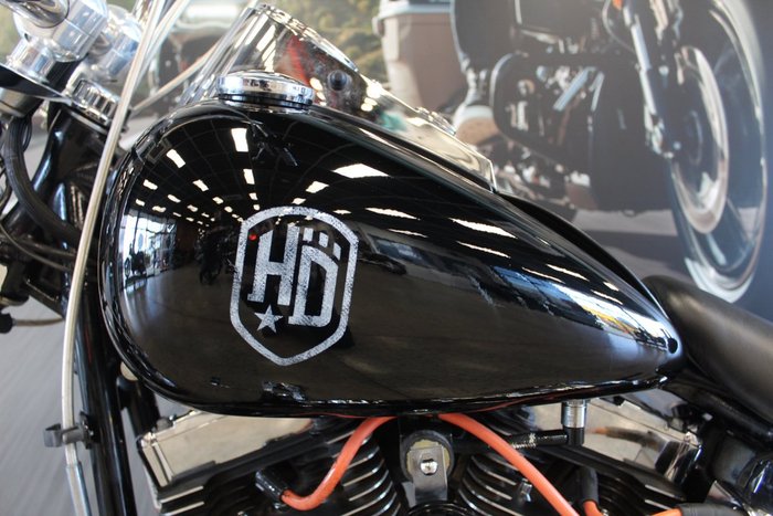 2009 Harley-davidson FXST SOFTAIL STANDARD
