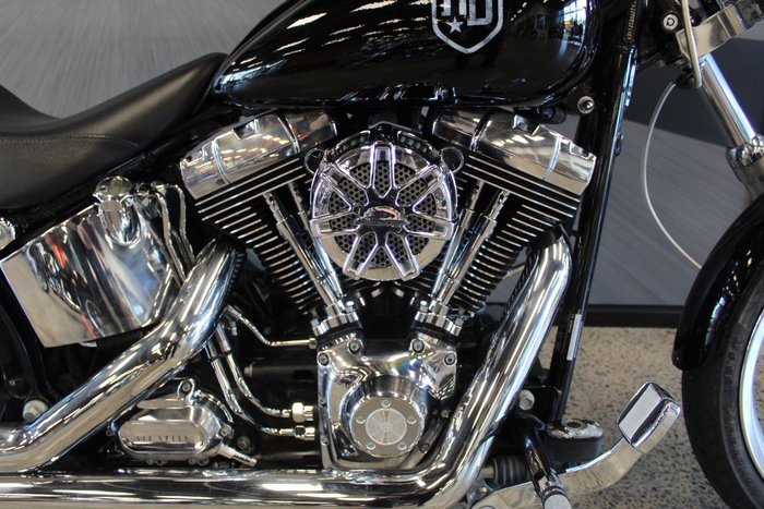 2009 Harley-davidson FXST SOFTAIL STANDARD