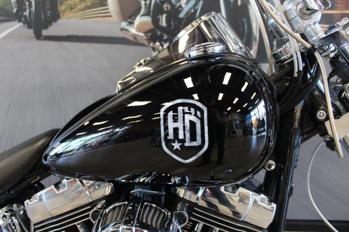 2009 Harley-davidson FXST SOFTAIL STANDARD