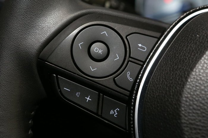 2020 Toyota RAV4 Cruiser