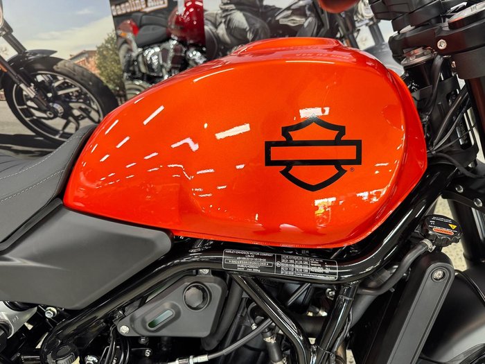 2024 Harley-Davidson X 500 X Orange