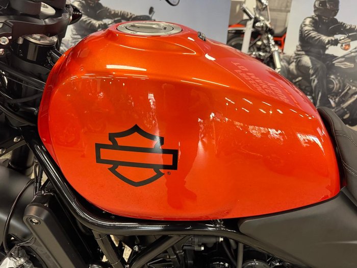 2024 Harley-Davidson X 500 X Orange