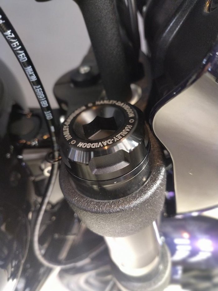 2025 Harley-Davidson Low Rider S 117 (FXLRS) Softail