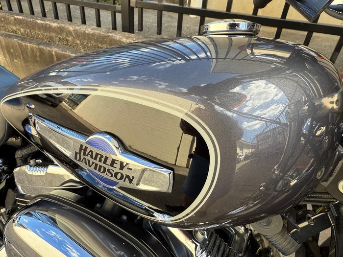 2014 Harley-Davidson 1200 Custom (XL1200C) Sportster