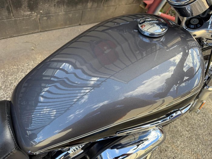 2014 Harley-Davidson 1200 Custom (XL1200C) Sportster