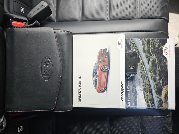 2020 Kia Stinger GT CK MY20 Hichroma Red