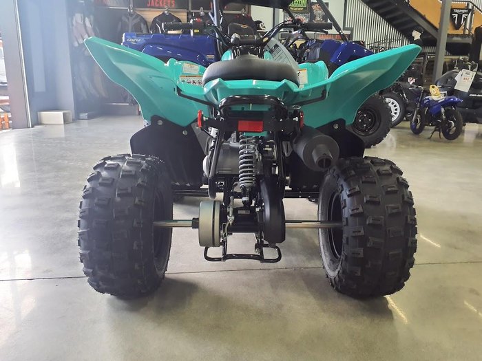 2025 Yamaha Raptor 110 (YFM110R) Raptor