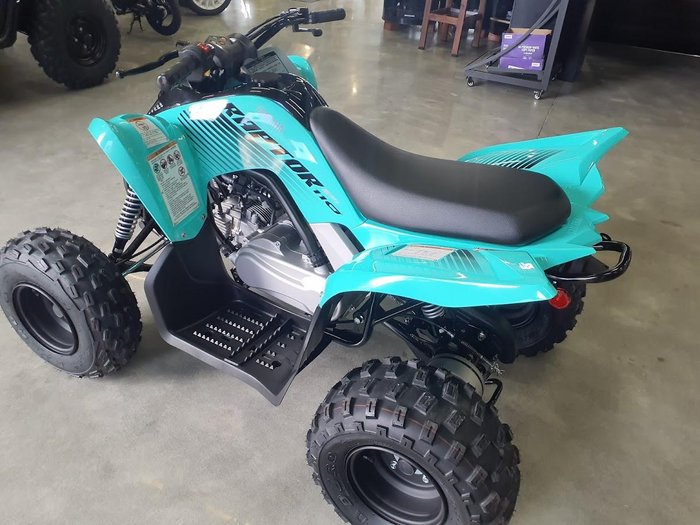 2025 Yamaha Raptor 110 (YFM110R) Raptor