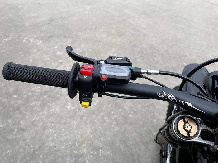 2025 Sur-ron LIGHT BEE X Purple