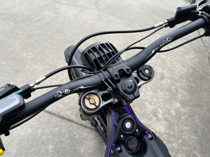 2025 Sur-ron LIGHT BEE X Purple