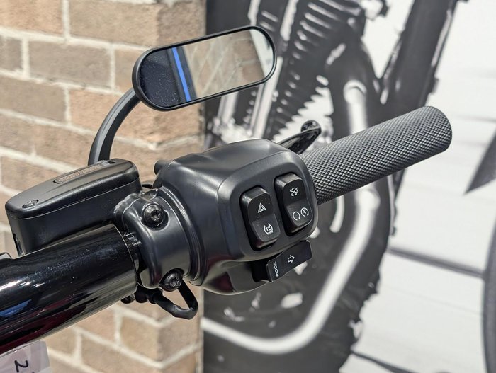 2025 Harley-Davidson Breakout 117 (FXBR) Softail Red