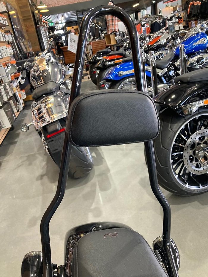 2021 Harley-Davidson Softail Standard 107 (FXST) Softail Black