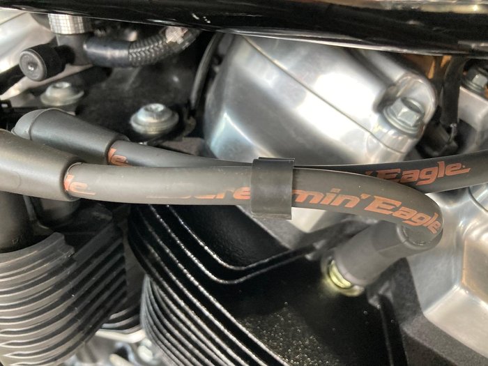 2021 Harley-Davidson Softail Standard 107 (FXST) Softail Black