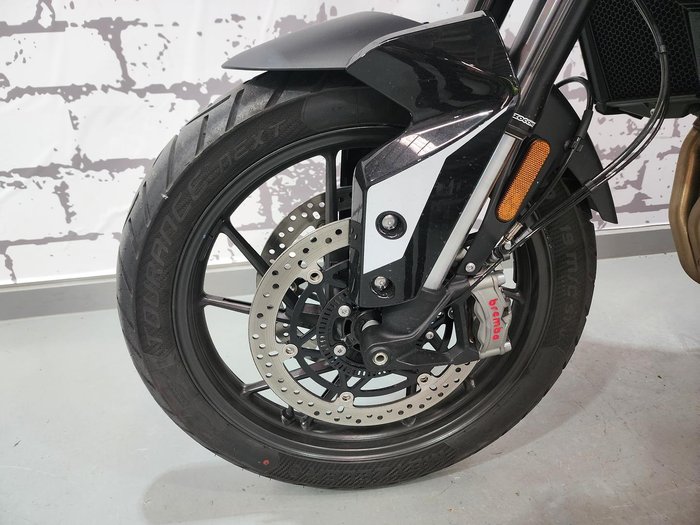 2024 Triumph Tiger 900 GT Tiger White