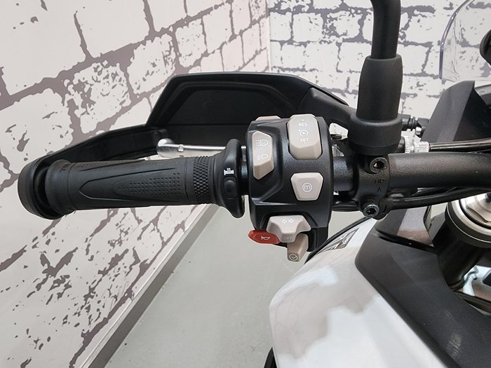 2024 Triumph Tiger 900 GT Tiger White