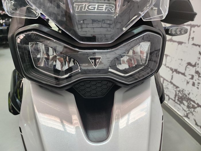 2024 Triumph Tiger 900 GT Tiger White