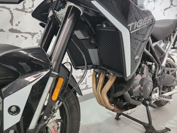 2024 Triumph Tiger 900 GT Tiger White