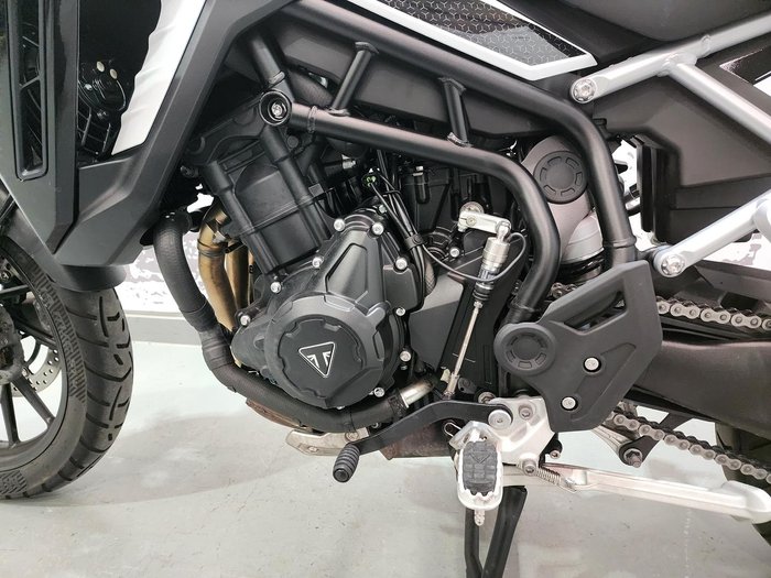 2024 Triumph Tiger 900 GT Tiger White