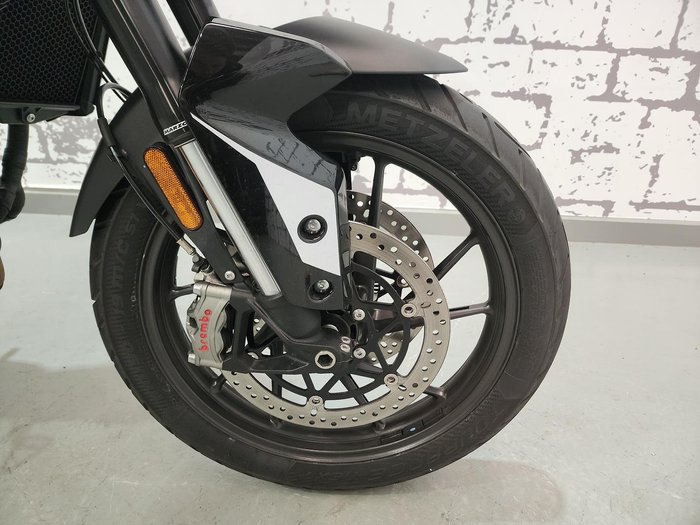 2024 Triumph Tiger 900 GT Tiger White