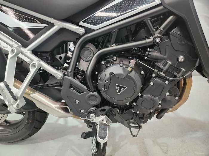 2024 Triumph Tiger 900 GT Tiger White