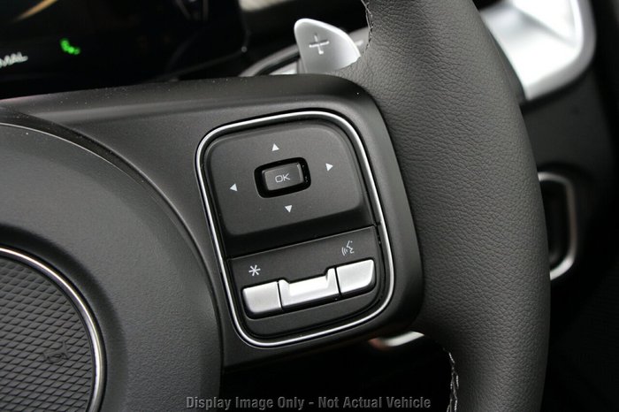 2025 GWM Cannon Premium