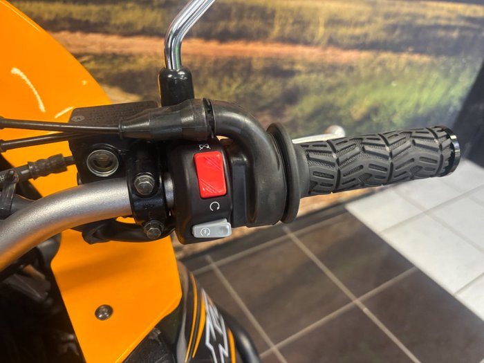 2018 Kawasaki KLR650 (KL650) ORANGE