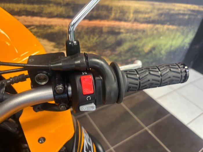 2018 Kawasaki KLR650 (KL650) ORANGE