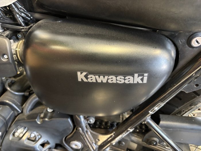 2020 Kawasaki W800 STREET (EJ800) Grey