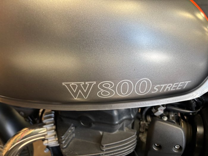 2020 Kawasaki W800 STREET (EJ800) Grey