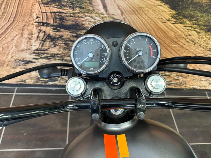 2020 Kawasaki W800 STREET (EJ800) Grey