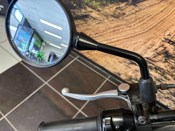 2020 Kawasaki W800 STREET (EJ800) Grey