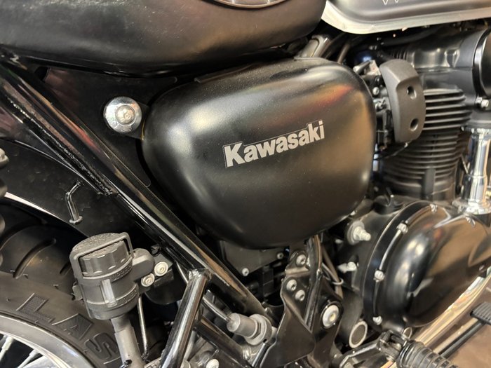 2020 Kawasaki W800 STREET (EJ800) Grey