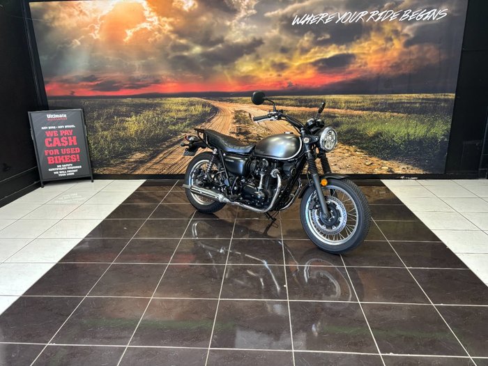 2020 Kawasaki W800 STREET (EJ800) Grey