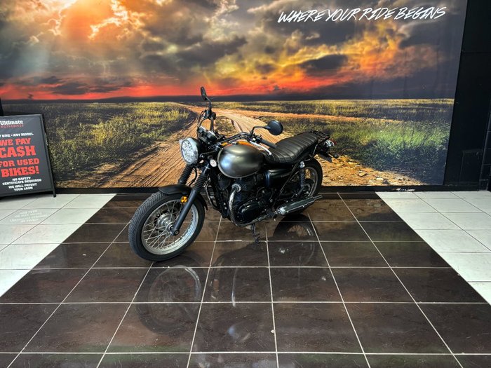 2020 Kawasaki W800 STREET (EJ800) Grey
