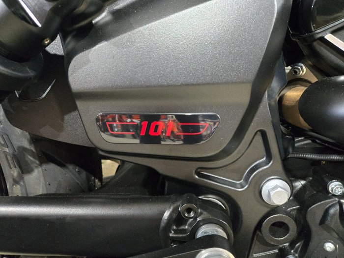 2025 INDIAN SCOUT 101 LIMITED GHOST WHITE METALLIC