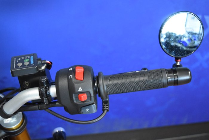 2024 TRIUMPH SPEED 400 Red