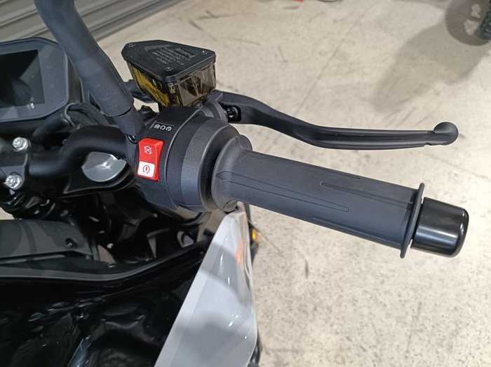 2024 KTM 790 DUKE GREY