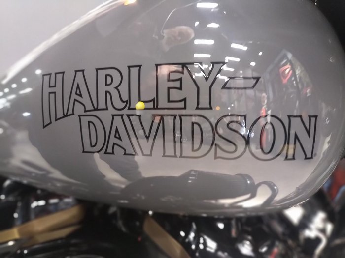 2022 Harley-Davidson Street Glide ST 117 (FLHXST) Touring
