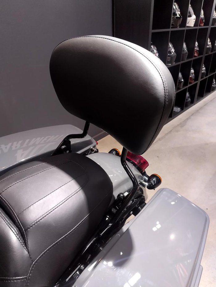 2022 Harley-Davidson Street Glide ST 117 (FLHXST) Touring