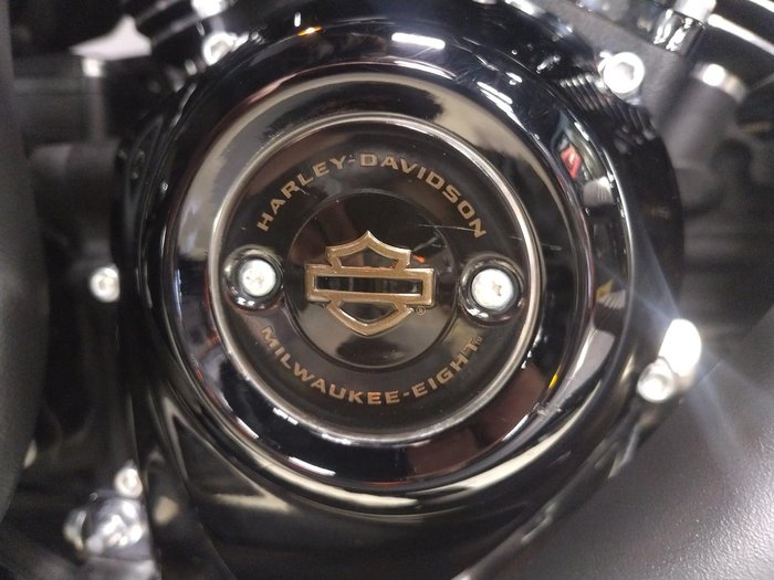 2022 Harley-Davidson Street Glide ST 117 (FLHXST) Touring