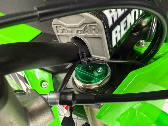 2025 Kawasaki KX250 Green