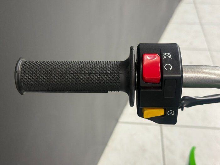 2025 Kawasaki KLX110R Green