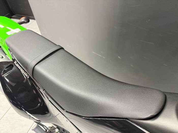 2023 Kawasaki KLX230SM Green
