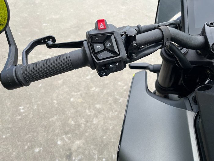 2024 Husqvarna SVARTPILEN 401 Grey