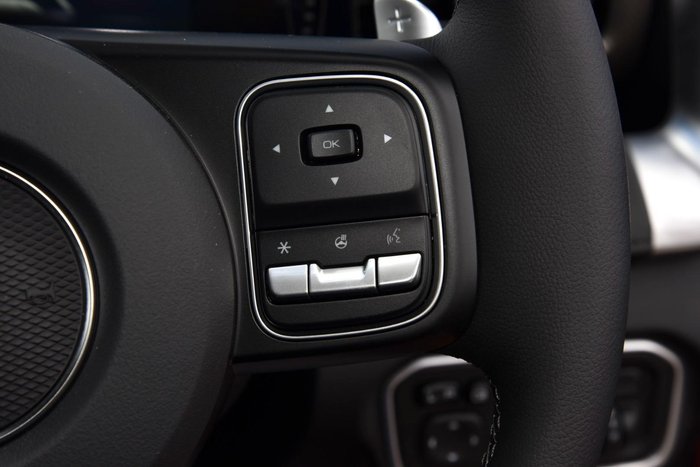 2025 GWM Cannon Vanta