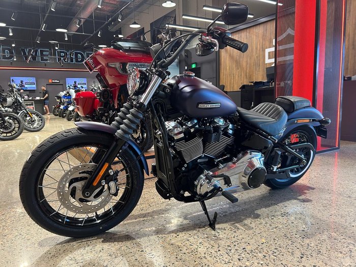2025 Harley-Davidson Street Bob 117 (FXBB) Softail Purple